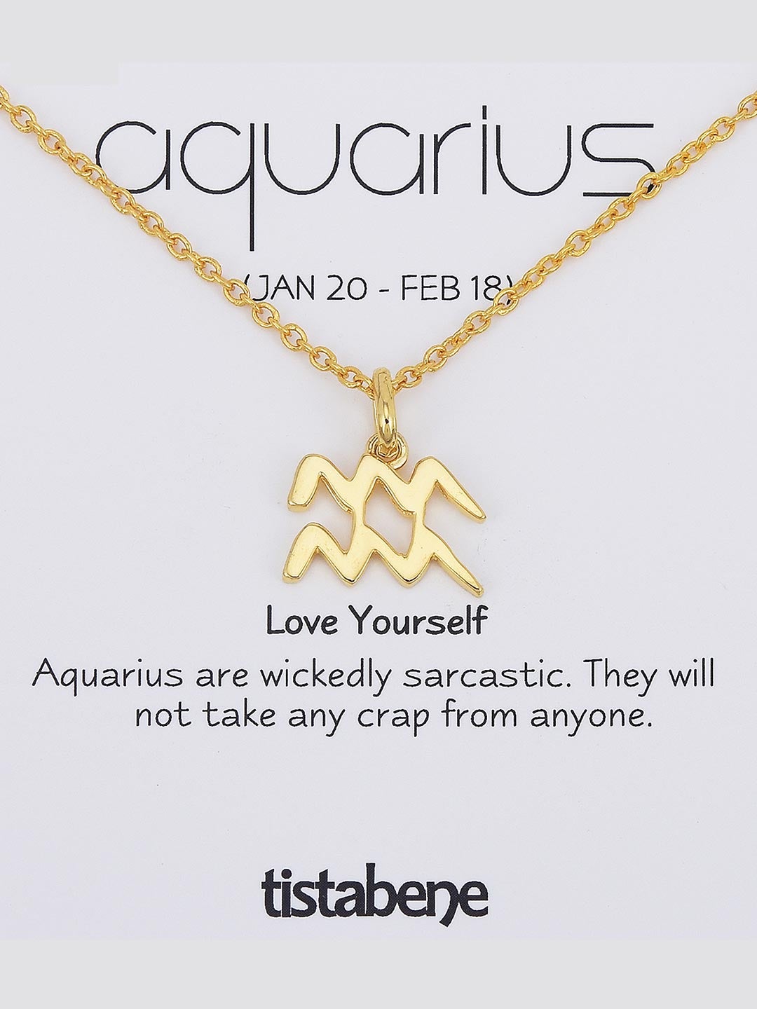 The Aquarius 18 K Gold Plated Pendant